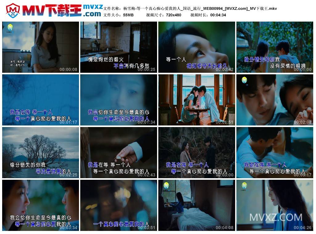 杨雪梅-等一个真心痴心爱我的人_国语_流行_MEB00994